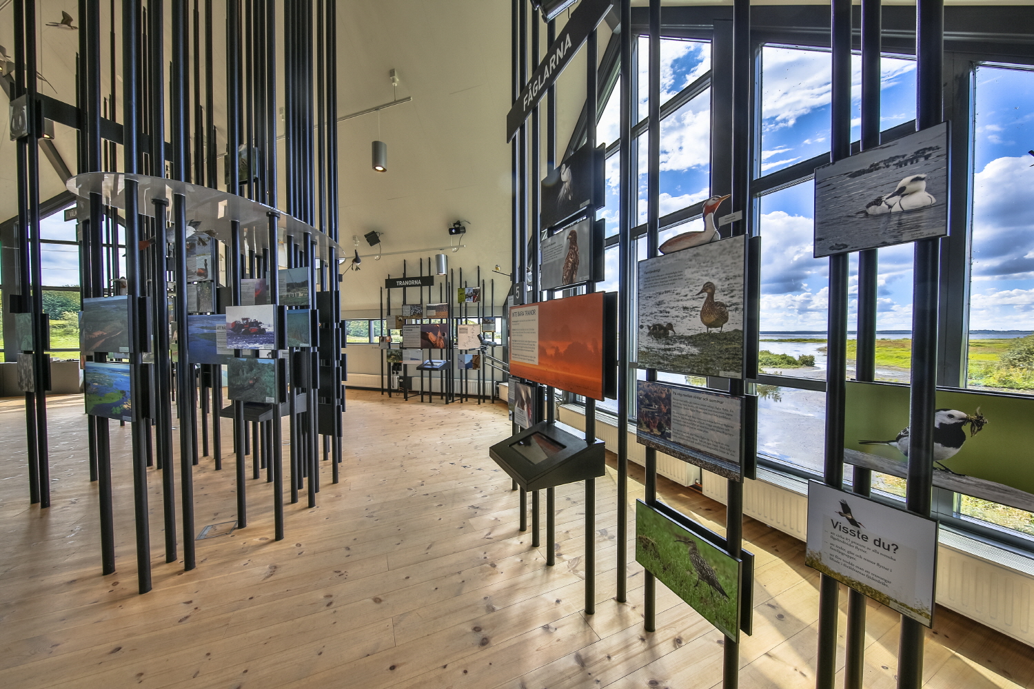 HORNBORGASJON, SWEDEN - JULY 26, 2016: Exhibition about local wildlife at visitor centre in Hornborgasjon Nature reserve